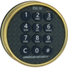 Brass ESL10 (UL Type 1) Retro-Fit Kit, Backlit Keypad Brass ESL10 (UL Type 1) Retro-Fit Kit, Backlit Keypad